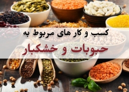 کسب و کار حبوبات و خشکبار کسب در آمد از بسته بندی حبوبات و بسته بندی خشکبار خانگی