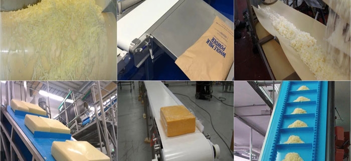 نوار نقاله صنعتی در صنعت لبنیات و نوشیدنی ها