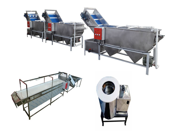 نکات عملی در اجرا و راه اندازی خط تولید سبزی