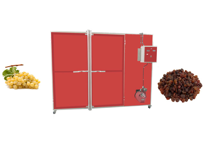 نکات کلیدی در فرآیند خشک سازی میوه ها